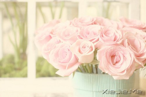 关于幸福的20个瞬间