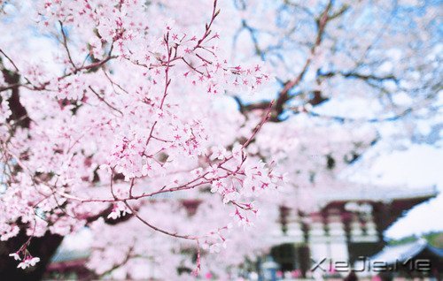 马年和自己的10个约定 (11)