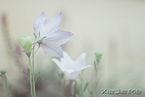 �����Լ������κ��ź� (7)