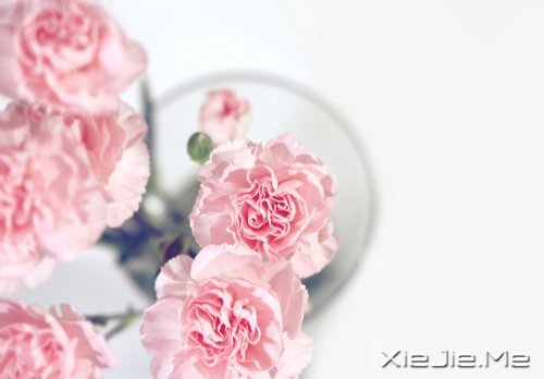 �����Լ������κ��ź� (9)