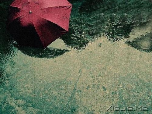 14首关于雨的纯音乐推荐 (13)