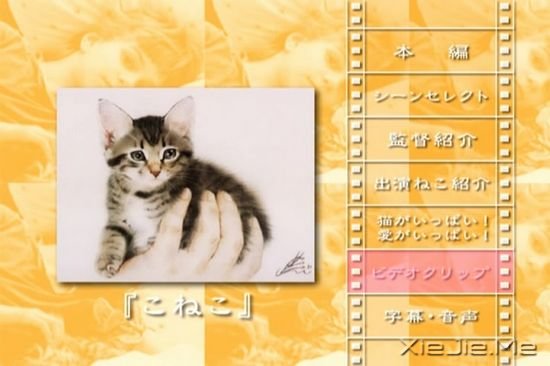 关于猫咪的9部经典电影推荐 (1)