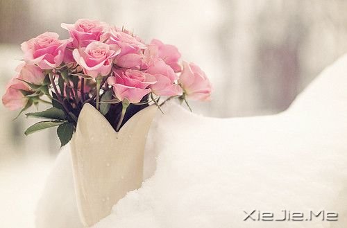 追梦就像是一场马拉松,能坚持到终点的人寥寥无几