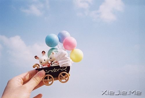 这世界总有人在做着不需要被人理解的事