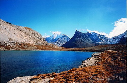 文字:住在沙城里的废话流