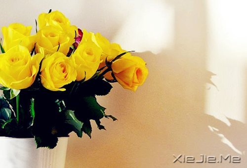 ���֣����ҵ�����