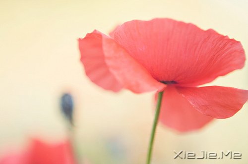 只要肯用脑子,就不是简单的重复