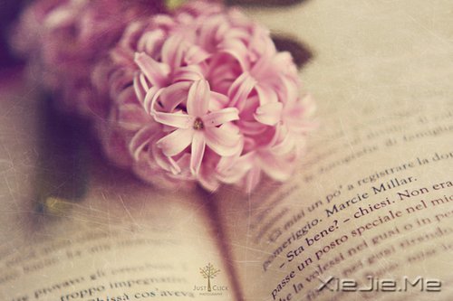 ���֣��ҽ������