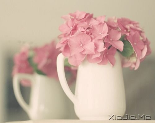 Խ����Խ�µ� (1)