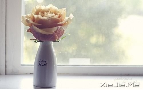 当你还有青春的时候,别悔恨青春