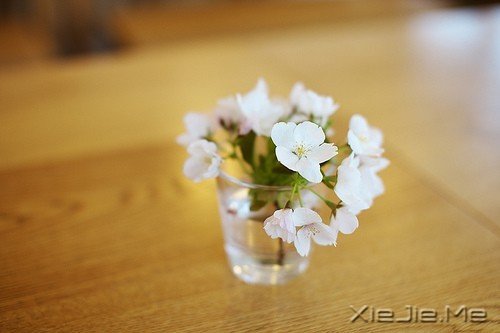 生活有一种颜色